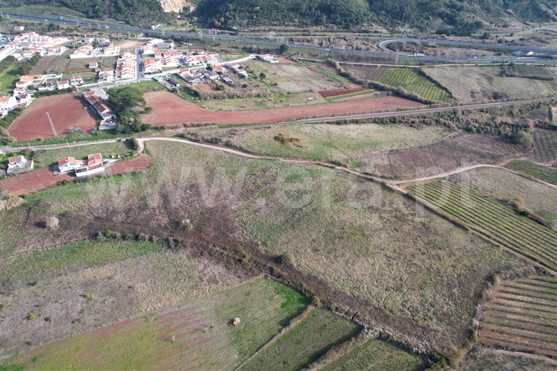 Terreno Rústico  Óbidos, A-da-Gorda - 1225895 - 3