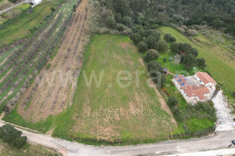 Terreno Rústico / Óbidos, Usseira