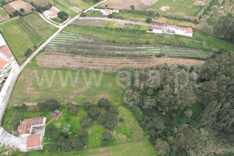 Terreno Rústico  com Urbano Óbidos, Usseira - 1305653 - 6
