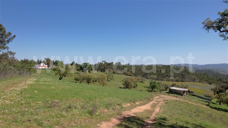 Terreno Rústico  com Rústico Odemira, Boavista dos Pinheiros - 1454775 - 33