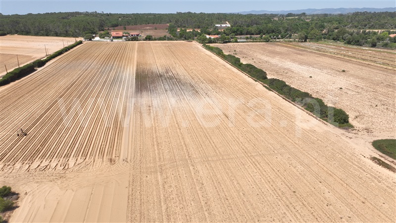 Terreno Rústico  Odemira, Cavaleiro - 1492521 - 16