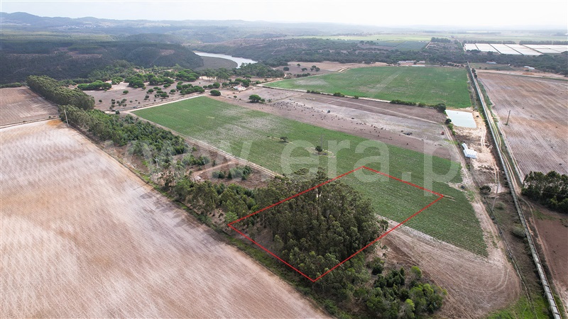 Terreno Rústico  Odemira, Zambujeira - 1432163 - 6