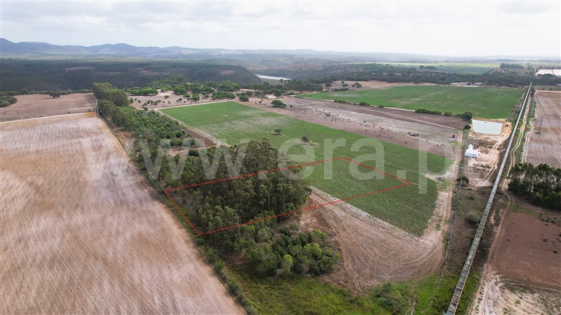 Terreno Rústico  Odemira, Zambujeira - 1432163 - 7