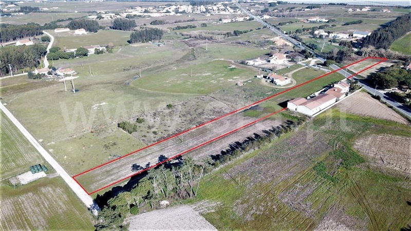 Terreno Rústico / Odemira, Longueira/Almograve