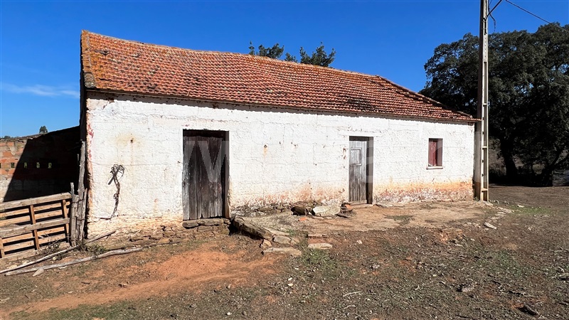 Herdade  Odemira, Reliquias - 1280846 - 3