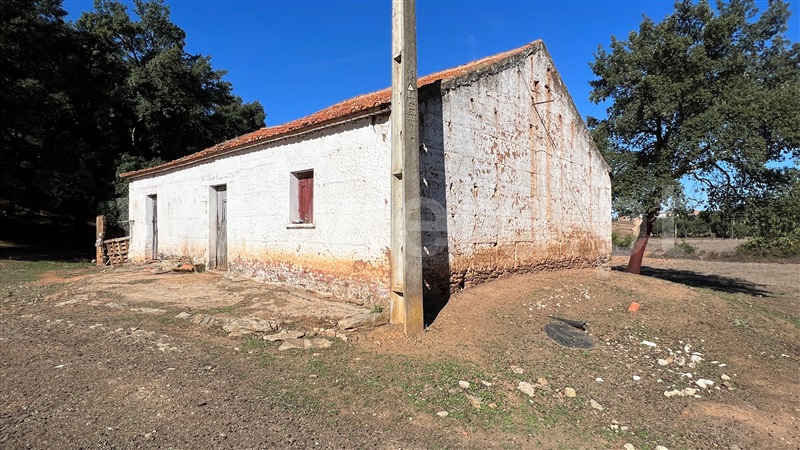 Herdade  Odemira, Reliquias - 1280846 - 4