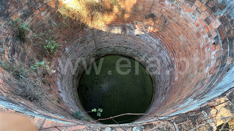 Herdade  Odemira, Reliquias - 1280846 - 6
