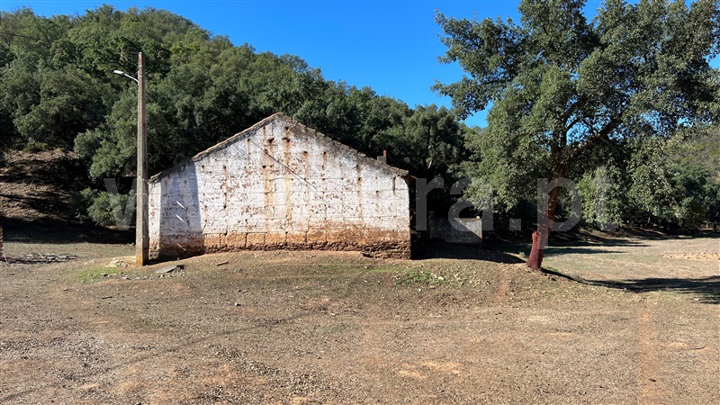Herdade  Odemira, Reliquias - 1280846 - 7