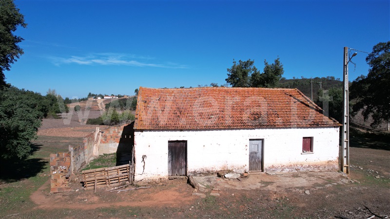 Herdade  Odemira, Reliquias - 1280846 - 10
