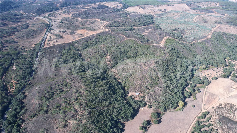 Herdade  Odemira, Reliquias - 1280846 - 11