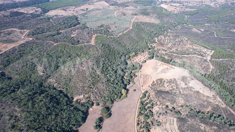 Herdade  Odemira, Reliquias - 1280846 - 12