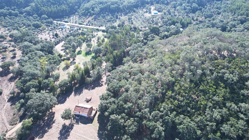 Herdade  Odemira, Reliquias - 1280846 - 14