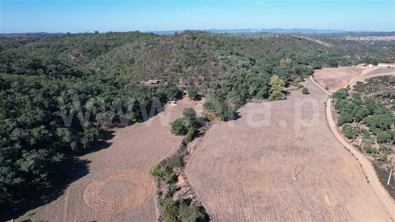 Herdade  Odemira, Reliquias - 1280846 - 17