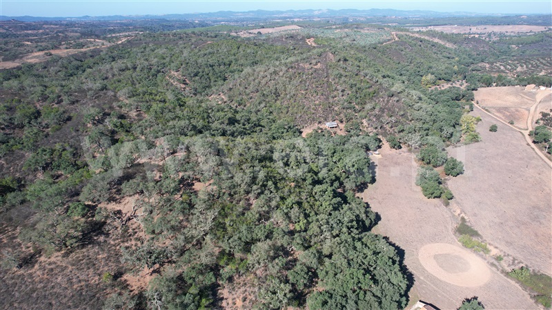 Herdade  Odemira, Reliquias - 1280846 - 18