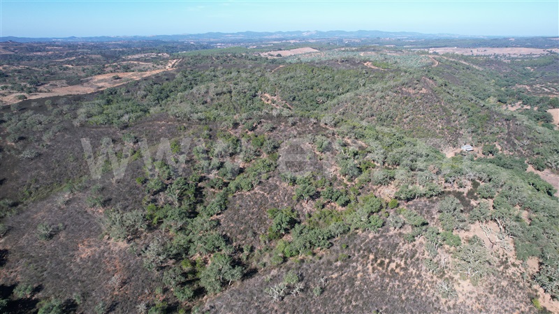 Herdade  Odemira, Reliquias - 1280846 - 19