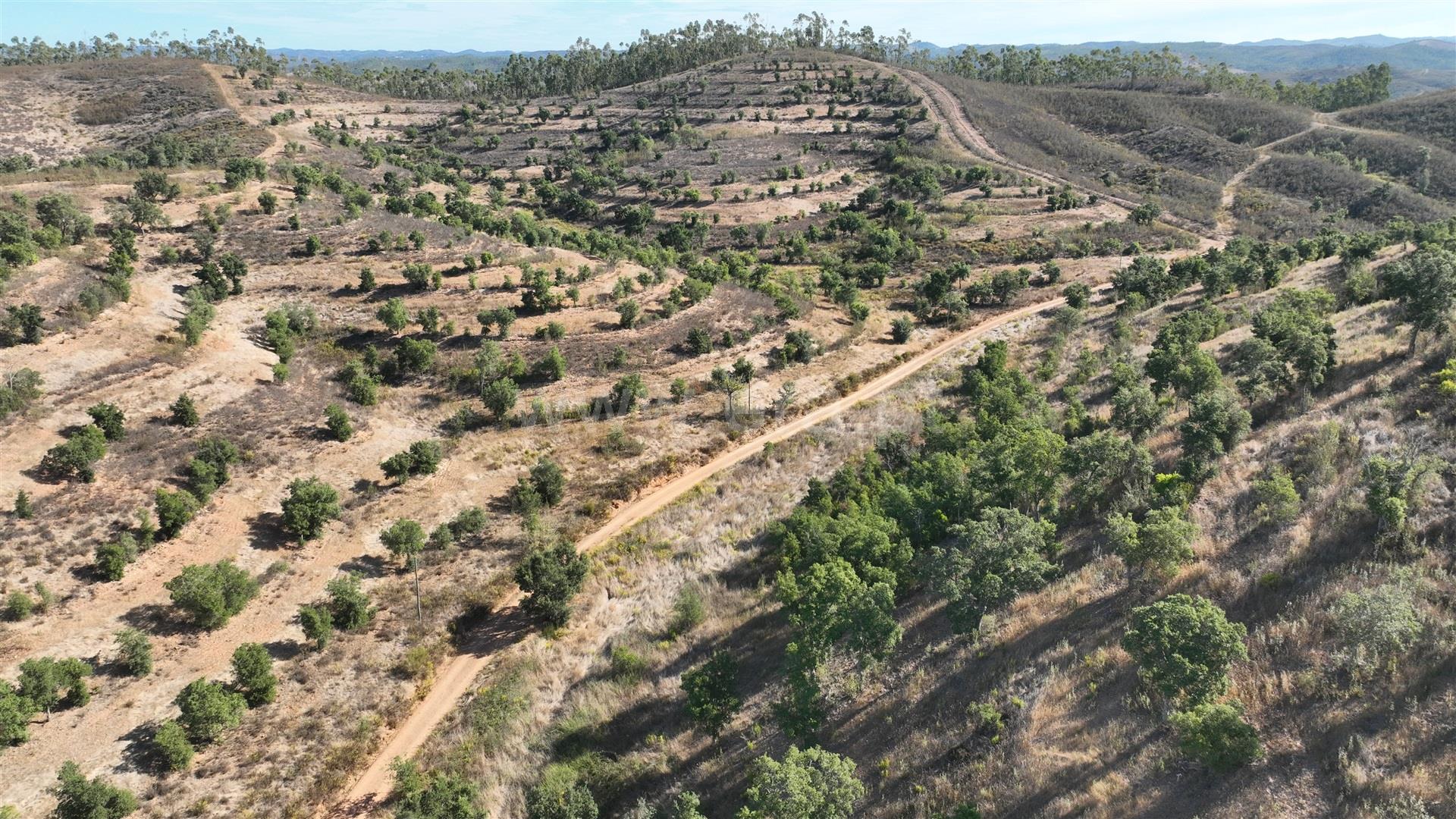 Land for sale in Odemira, Portugal — €140,000