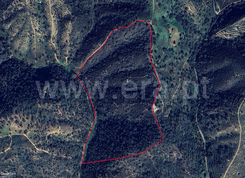 Terreno Rústico / Odemira, São Martinho das Amoreiras