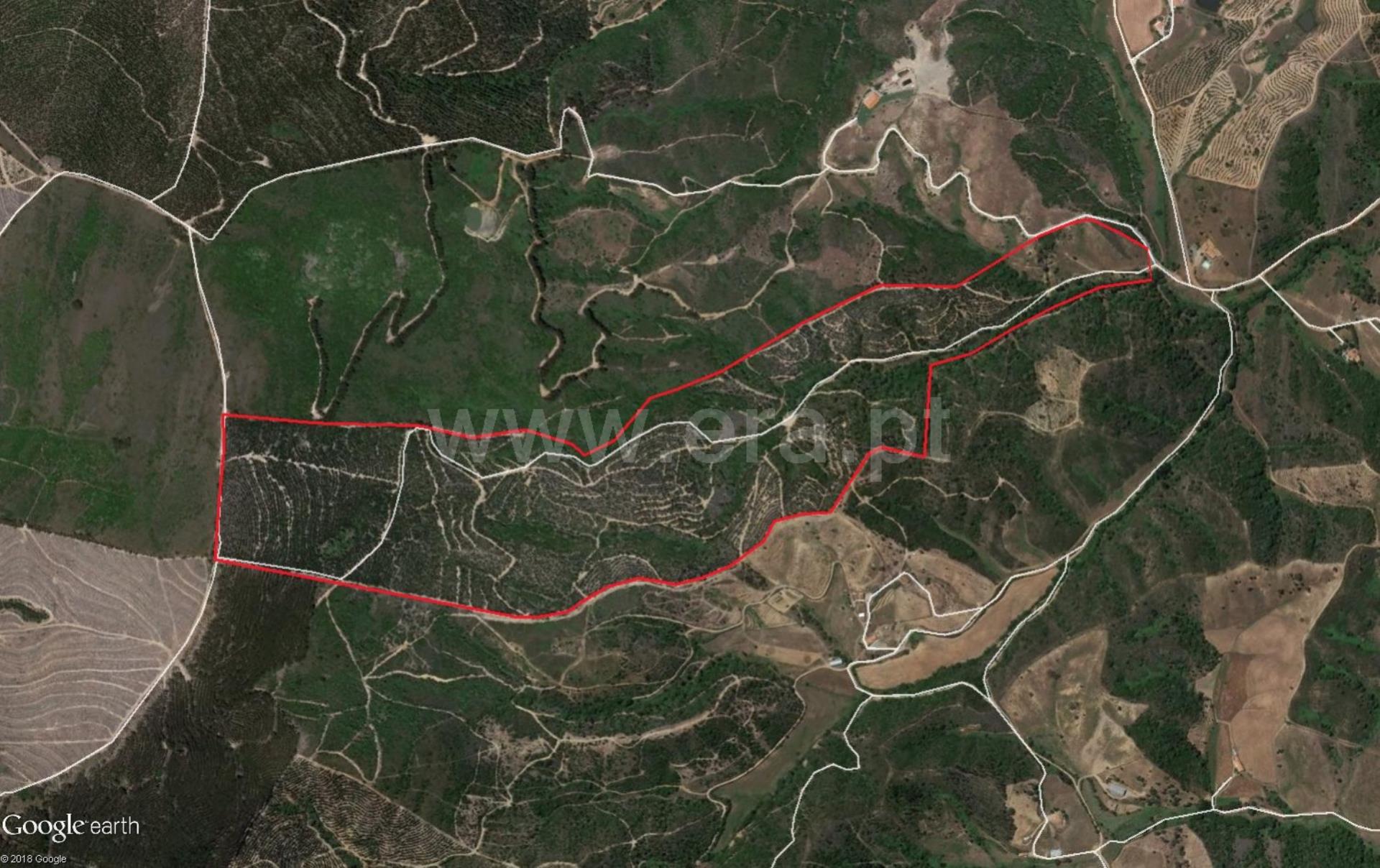 Land for sale in Odemira, Portugal — €267,500
