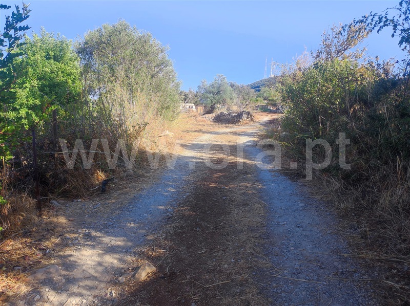 Terreno Rústico / Olhão, Moncarapacho e Fuseta