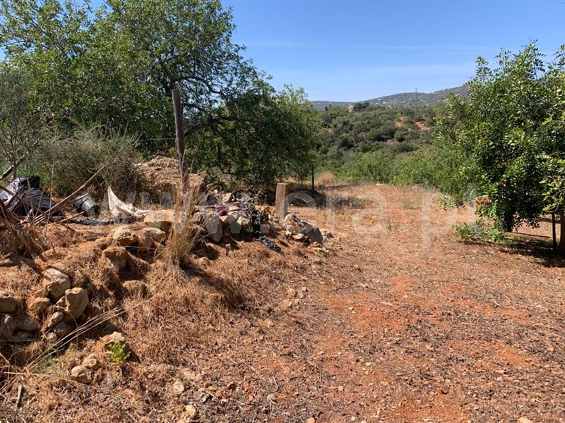 Terreno Rústico / Olhão, Quelfes - Pogled 6