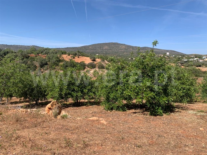 Terreno Rústico / Olhão, Quelfes - Več