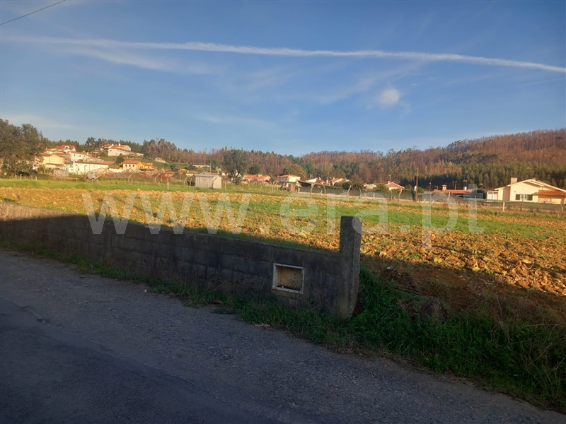 Terreno Rústico / Oliveira de Azeméis, Curval