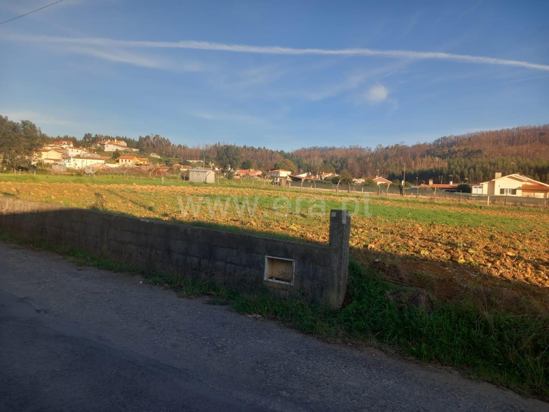 Land for sale in Oliveira de Azeméis, Portugal — €82,000