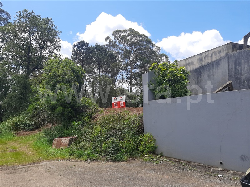 Terreno Rústico / Oliveira de Azeméis, Vila de Cucujães