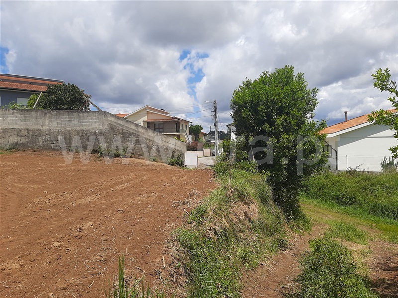 Terreno Rústico  Oliveira de Azeméis, Vila de Cucujães - 1480934 - 2