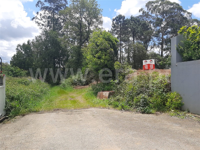 Terreno Rústico  Oliveira de Azeméis, Vila de Cucujães - 1480934 - 4