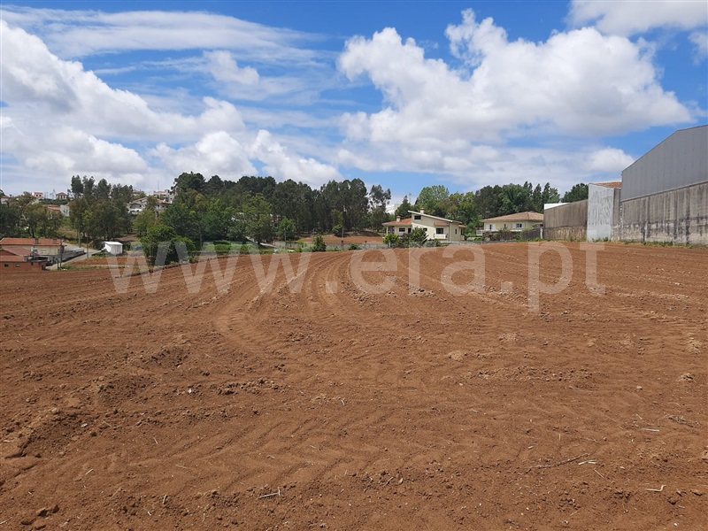 Terreno Rústico  Oliveira de Azeméis, Vila de Cucujães - 1480934 - 5