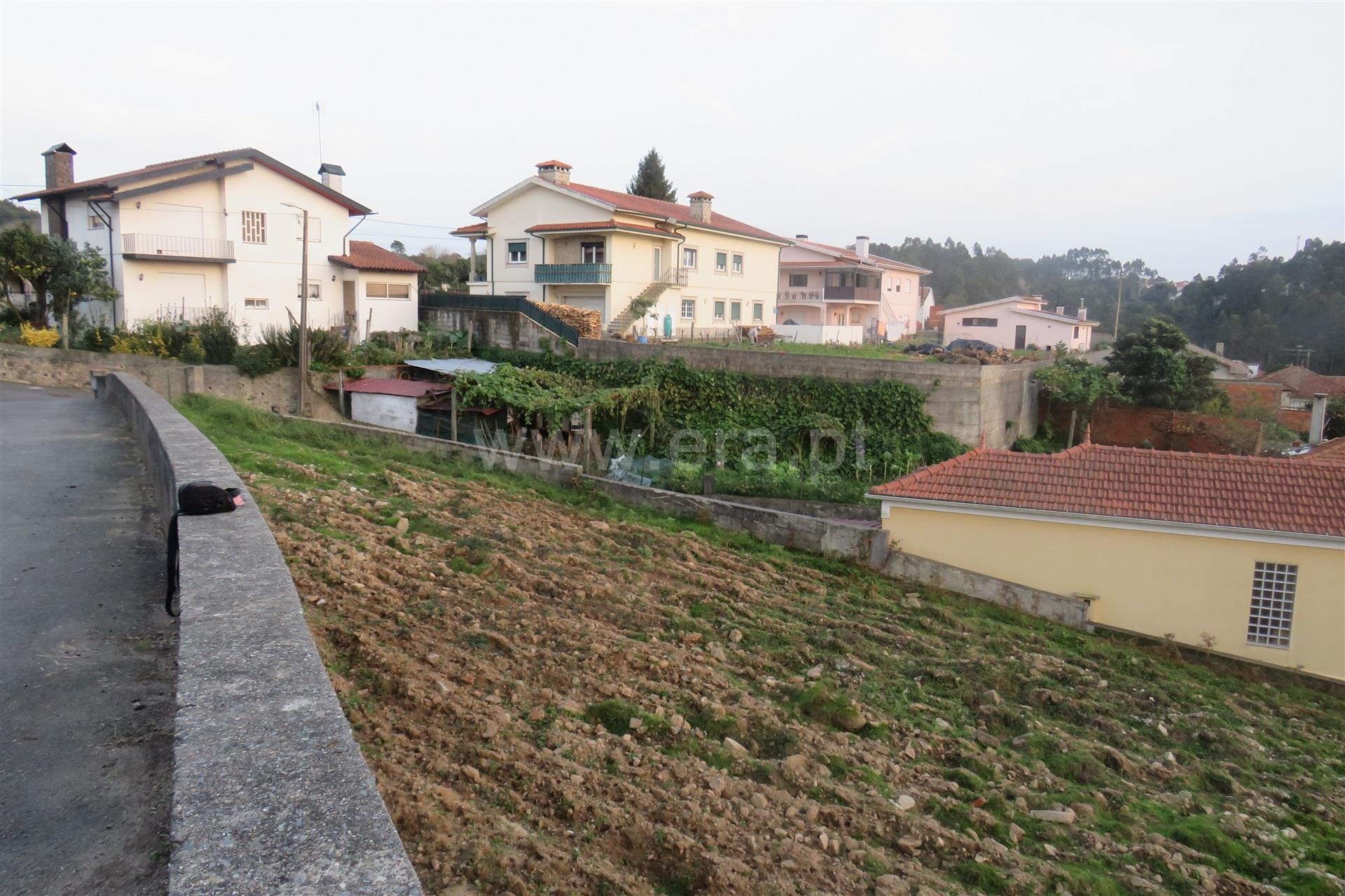 Terreno em Oliveira de Azeméis