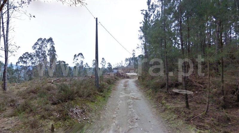 Terreno Rústico / Oliveira de Frades, Oliveira de Frades, Souto de Lafões e Sejães