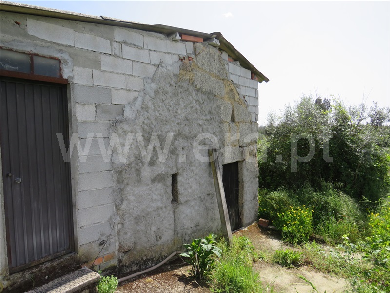 Terreno Rústico  com Agrícola Oliveira do Hospital, Seixo da Beira - 1246186 - 10