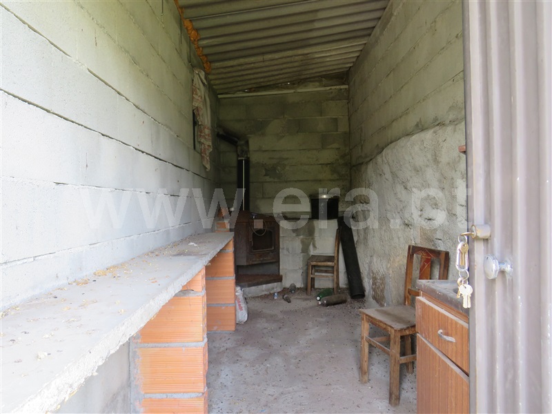 Terreno Rústico  com Agrícola Oliveira do Hospital, Seixo da Beira - 1246186 - 12