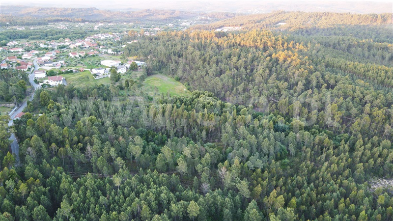 Terreno Rústico / Ourém, Freixianda, Ribeira do Fárrio e Formigais