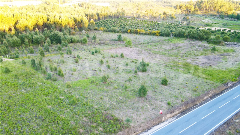 Terreno Rústico  Ourém, Freixianda, Ribeira do Fárrio e Formigais - 1170141 - 2