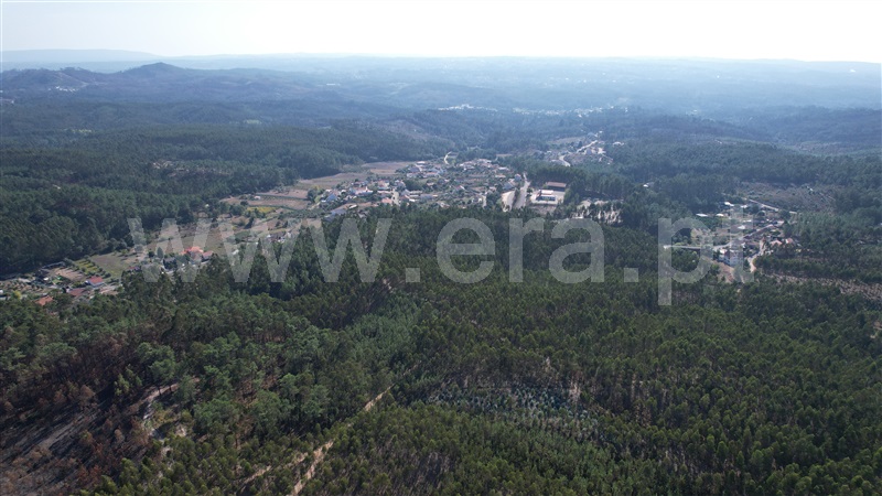 Terreno Rústico  Ourém, Gondemaria e Olival - 1358792 - 15