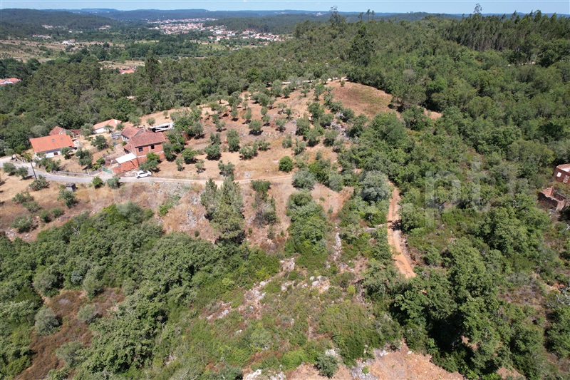 Terreno Rústico  Ourém, Rio de Couros e Casal dos Bernardos - 1257221 - 2