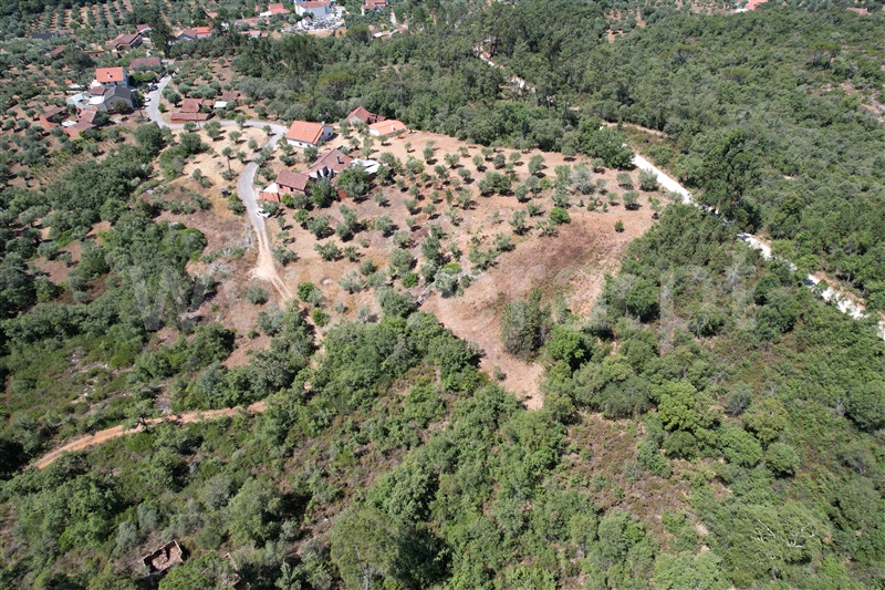 Terreno Rústico  Ourém, Rio de Couros e Casal dos Bernardos - 1257221 - 7