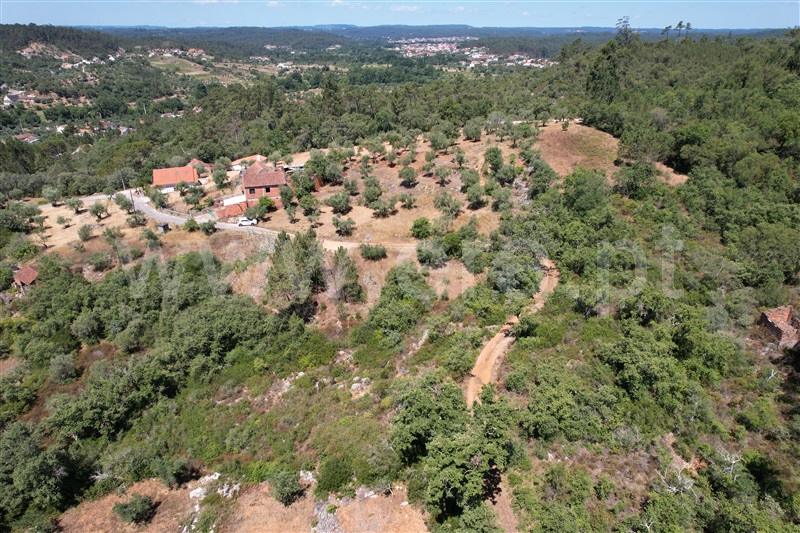 Terreno Rústico  Ourém, Rio de Couros e Casal dos Bernardos - 1257221 - 11
