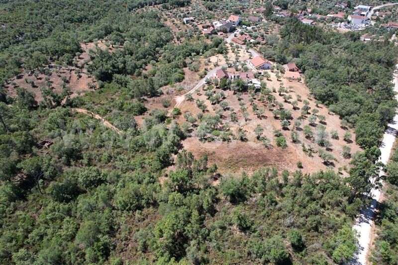 Terreno Rústico  Ourém, Rio de Couros e Casal dos Bernardos - 1257221 - 12