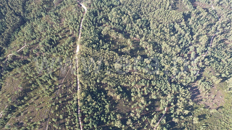 Terreno Rústico  Ourém, Seiça - 1365154 - 1