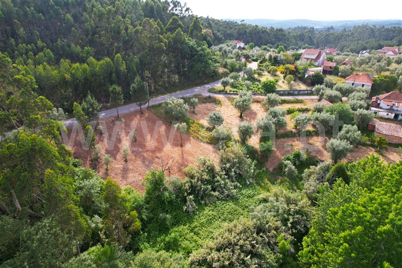 Terreno Rústico / Ourém, Urqueira