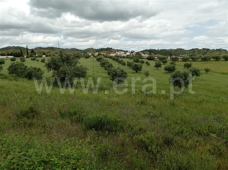 Terreno  Ourique, Garvão e Santa Luzia - 1169282 - 2