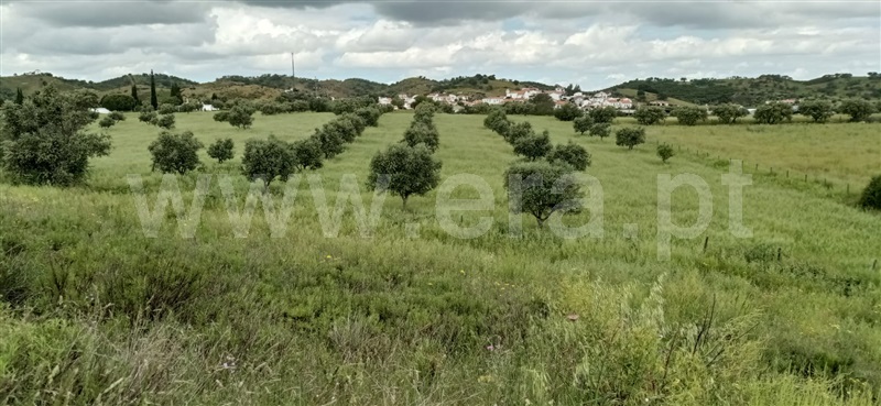 Terreno  Ourique, Garvão e Santa Luzia - 1169282 - 3
