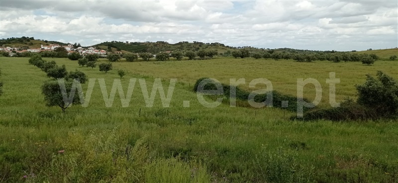 Terreno  Ourique, Garvão e Santa Luzia - 1169282 - 4