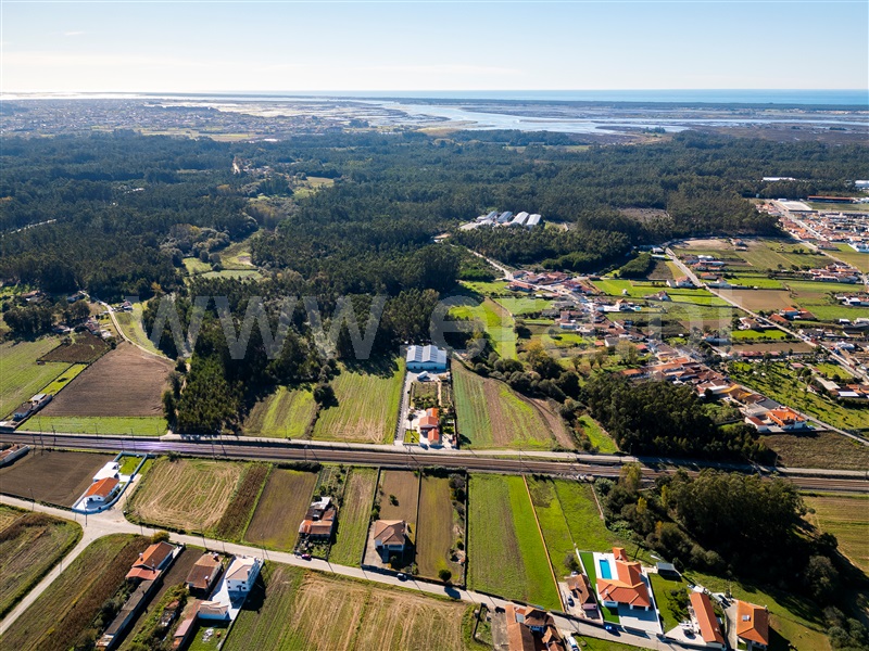 Terreno Rústico / Ovar, Ovar, São João, Arada e São Vicente de Pereira Jusã