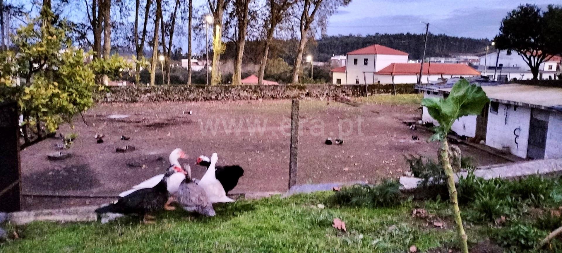 Land for sale in Paços de Ferreira, Portugal — €410,000