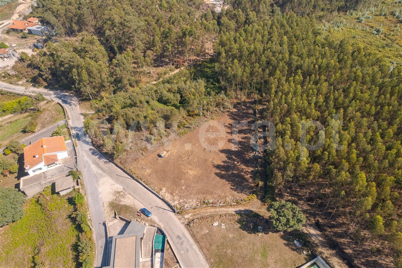 Terreno Rústico  Paços de Ferreira, Sanfins Lamoso Codessos - 1505847 - 2